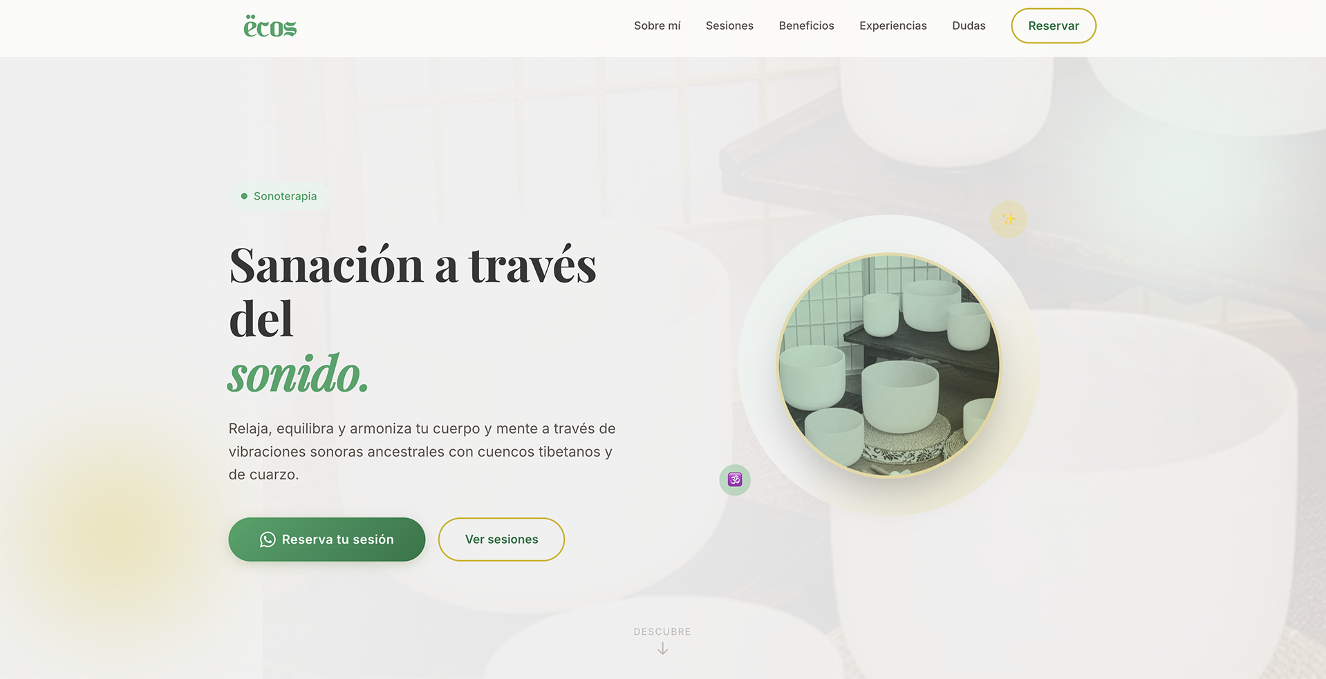 Sitio Web IA